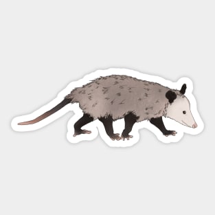 Little opossum Sticker